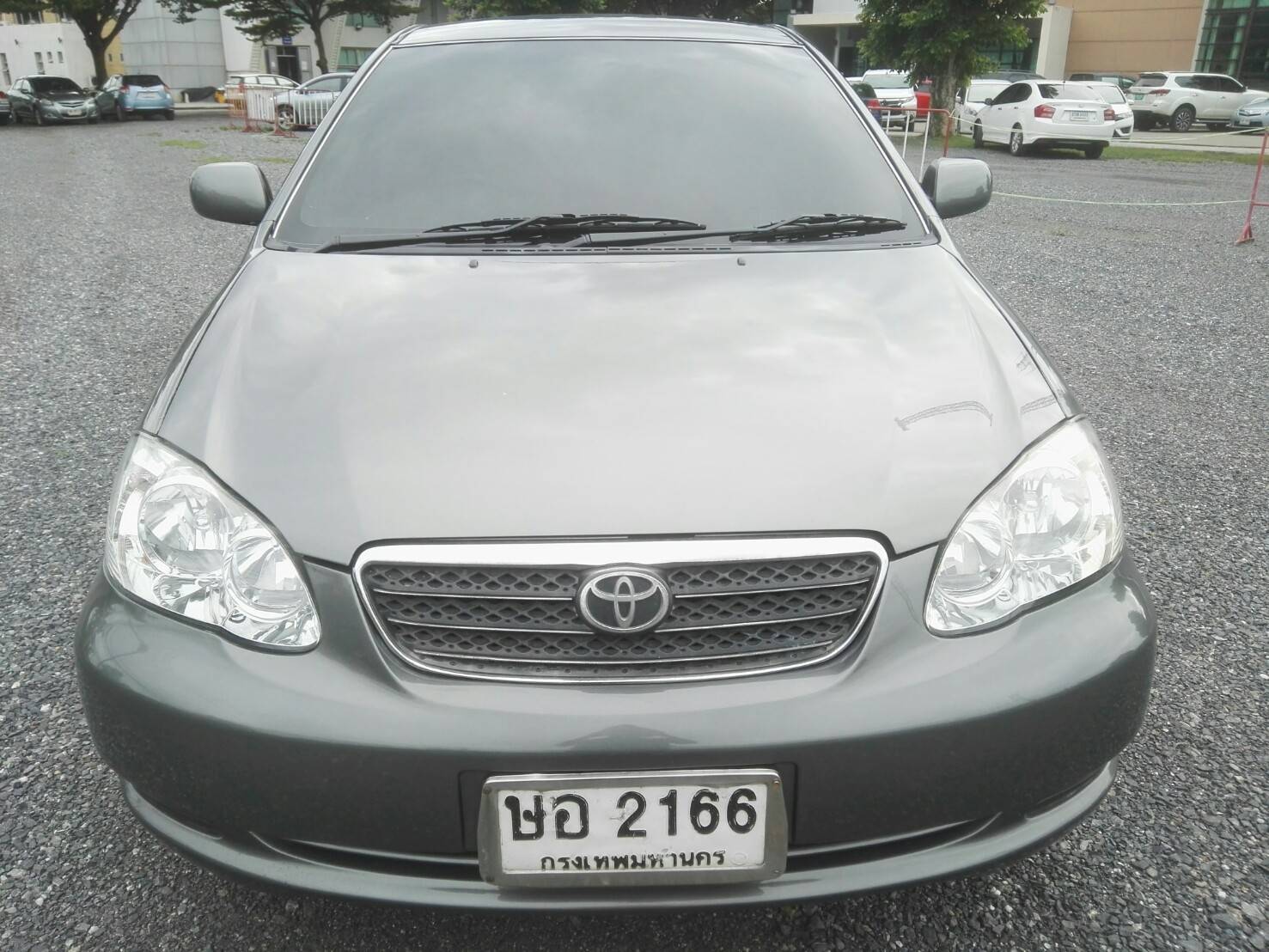 ขายToyota Corolla Altis (หน้าหมู/ตาถั่ว) ปี 2004 สีเทา