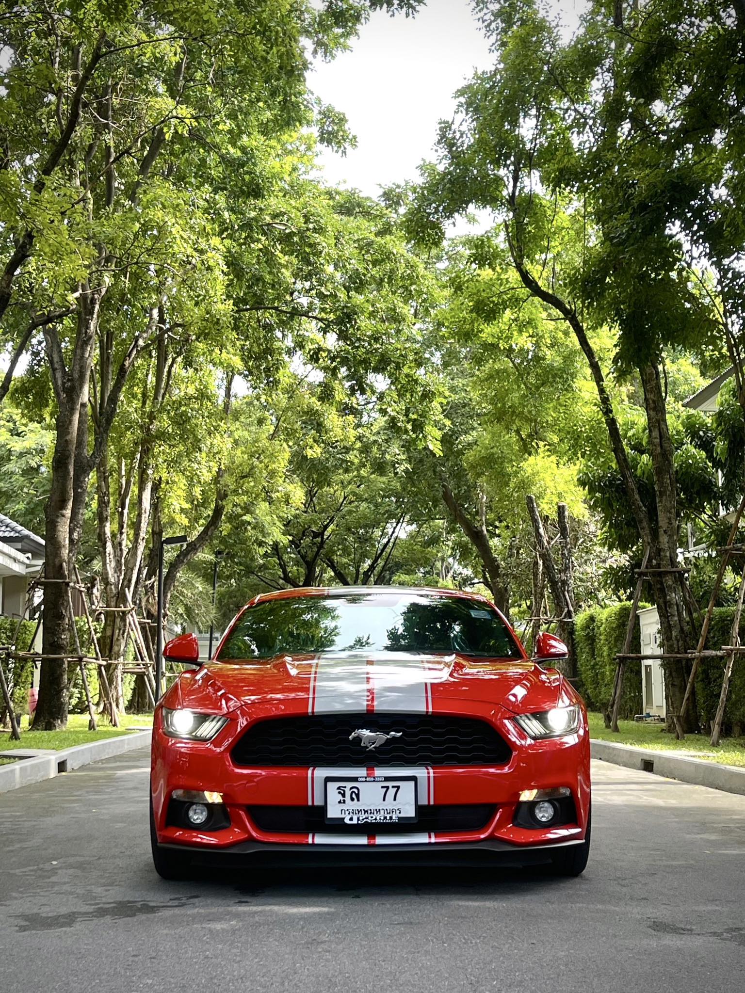 Ford Mustang 2.3 Ecoboost หมื่นโล สวยมากในโลกมนุษย์ จริงๆคันนี้