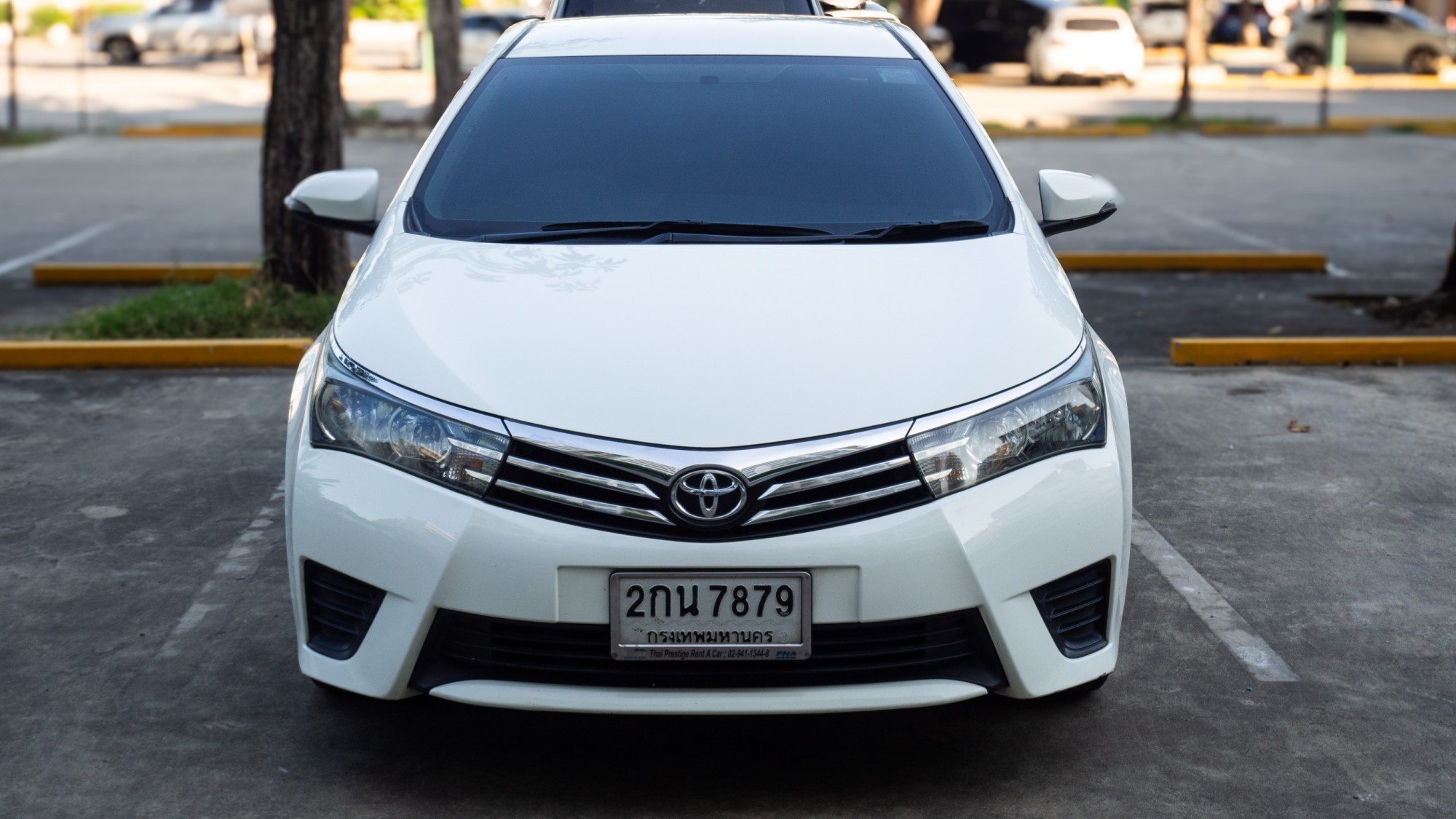 2014 Toyota ALTIS 1.6E CNG สีขาว